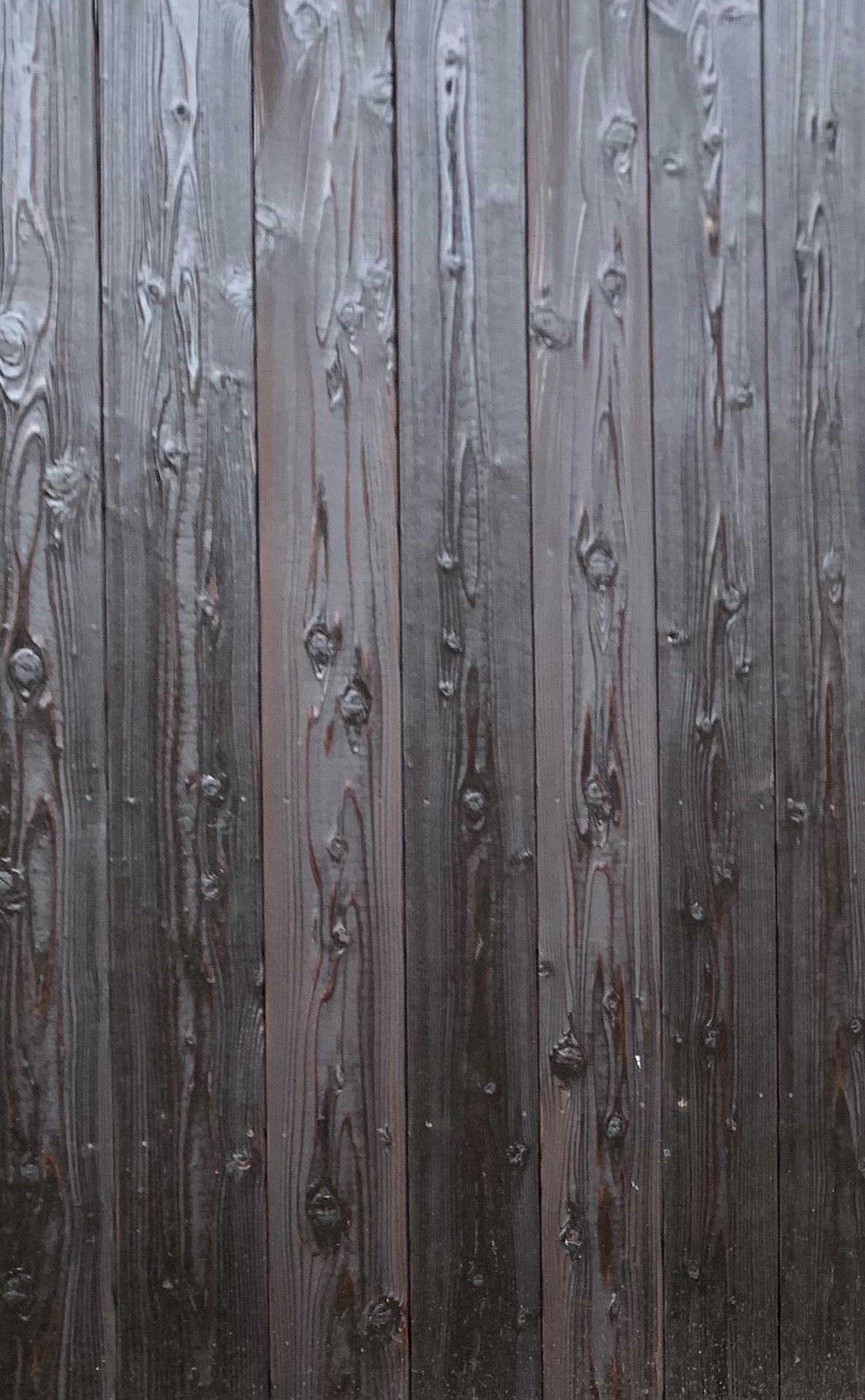 外壁材に、国産焼杉塗装（ブラック）を使用